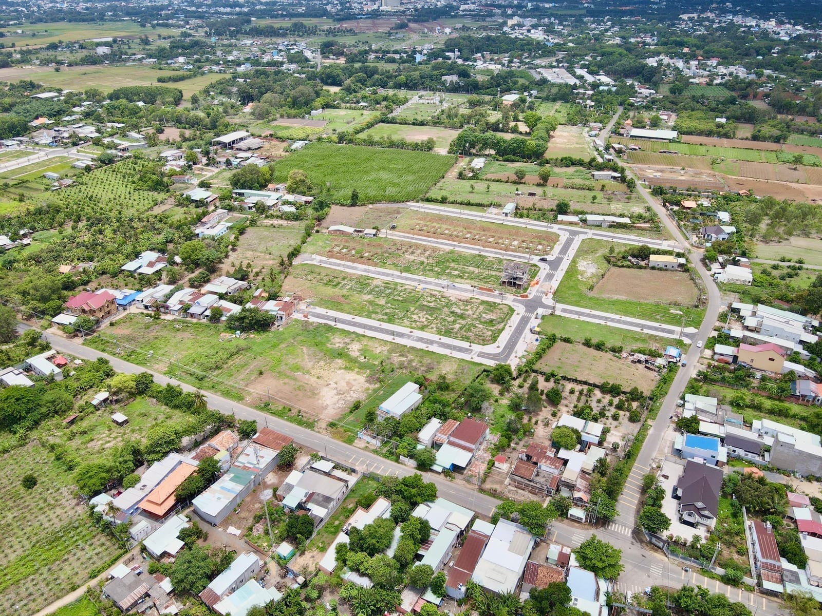 Có Được Xác Định Lại Loại Đất Khi Sử Dụng Đất Sai Mục Đích?