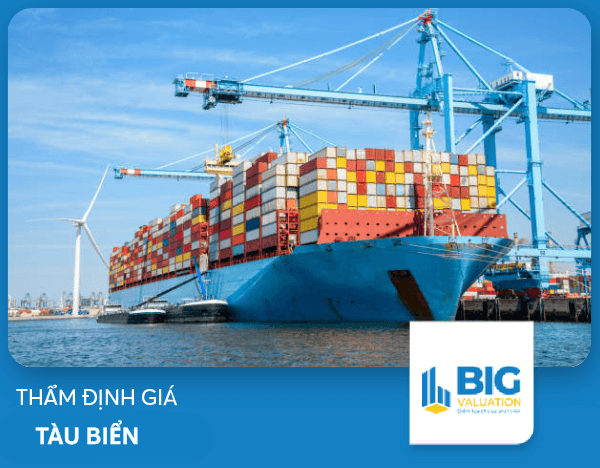 Thẩm định giá tàu biển