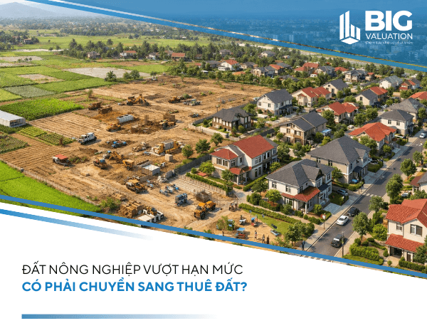 Đất nông nghiệp vượt hạn mức có phải chuyển sang thuê đất?